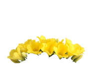 845245876