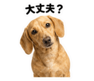 845245906