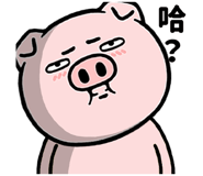 845246264