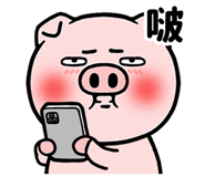 845246276