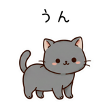 845246355
