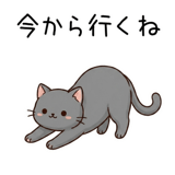 845246364