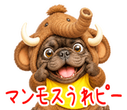 845246435