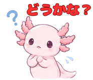 845246561