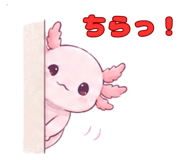 845246563