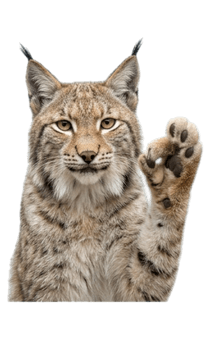 845246589