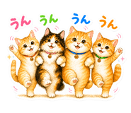 845246653