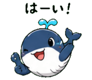 845246911
