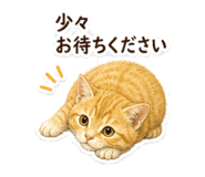 845246953