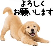 845247020