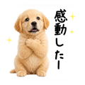 845247026