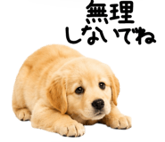 845247030