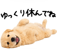 845247032