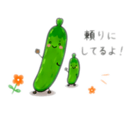 845247551