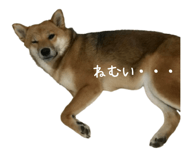 845247922