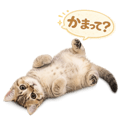 845248812