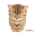 845248815