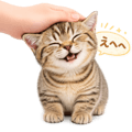 845248818