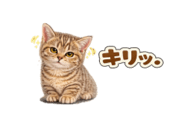 845248820