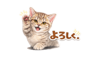 845248821