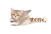 845248823