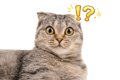 845248824