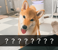845248843