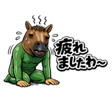 845249838