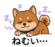 845250399