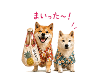 845250460