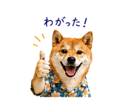 845250461