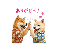 845250463