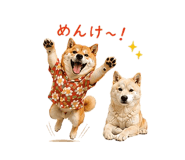 845250465