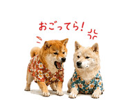 845250467