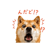 845250468