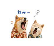 845250472