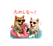 845250473