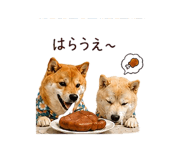 845250474