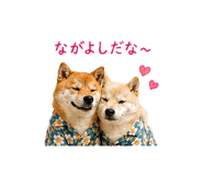845250475