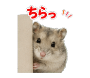 845250984