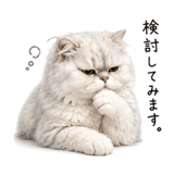 845251037