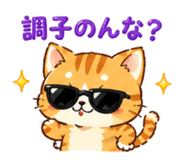 845251120