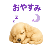 845251255