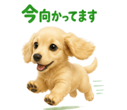 845251286