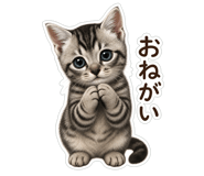 845251390