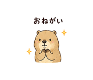 845251808