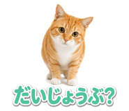 845251939
