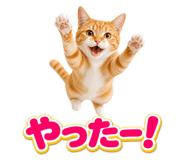 845251941