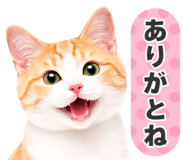 845252019