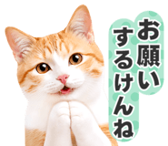 845252020